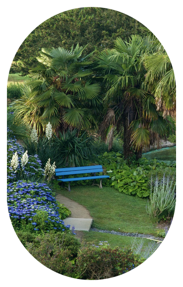 Ce jardin organisé autour d'un point d'eau créer un paysage aux nombreuses nuances de bleue grâce aux espèces botaniques qui le compose.